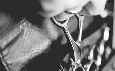 How to Choose the Right Barber Shears