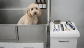 Professional dog grooming clippers and grooming tools