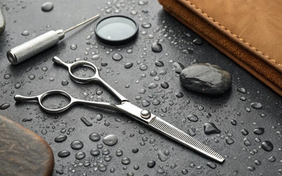 Shear Sharpening: A Complete Guide for Barbers
