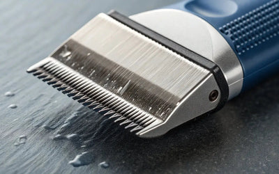 What Is a Deep Tooth Blade & When Should You Use It?